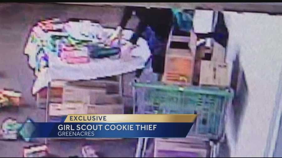 Man Captured On Video Stealing Girl Scout Cookie Money 