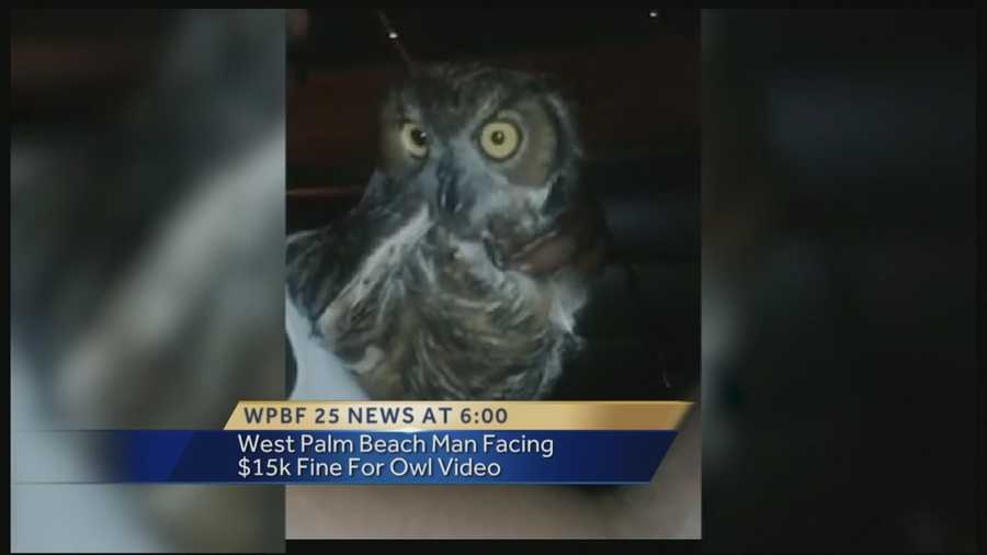 A West Palm Beach man seen driving with an owl in a video posted to Facebook is now facing federal charges. He is accused of violating the Federal Migratory Bird Treaty Act of 1918.