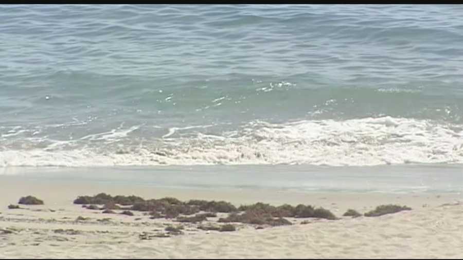 A good Samaritan jumped into the water to save a swimmer Wednesday morning in Juno Beach. Whitney Burbank reports.