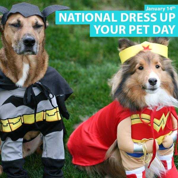 Photos National Dress Up Your Pet Day