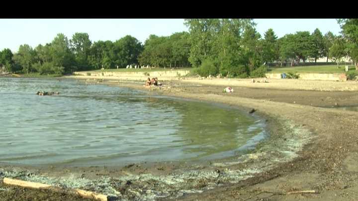 Various beaches like Blanchard at Oakledge Park and Leddy Park have films of blue-green algae rotting on the water.