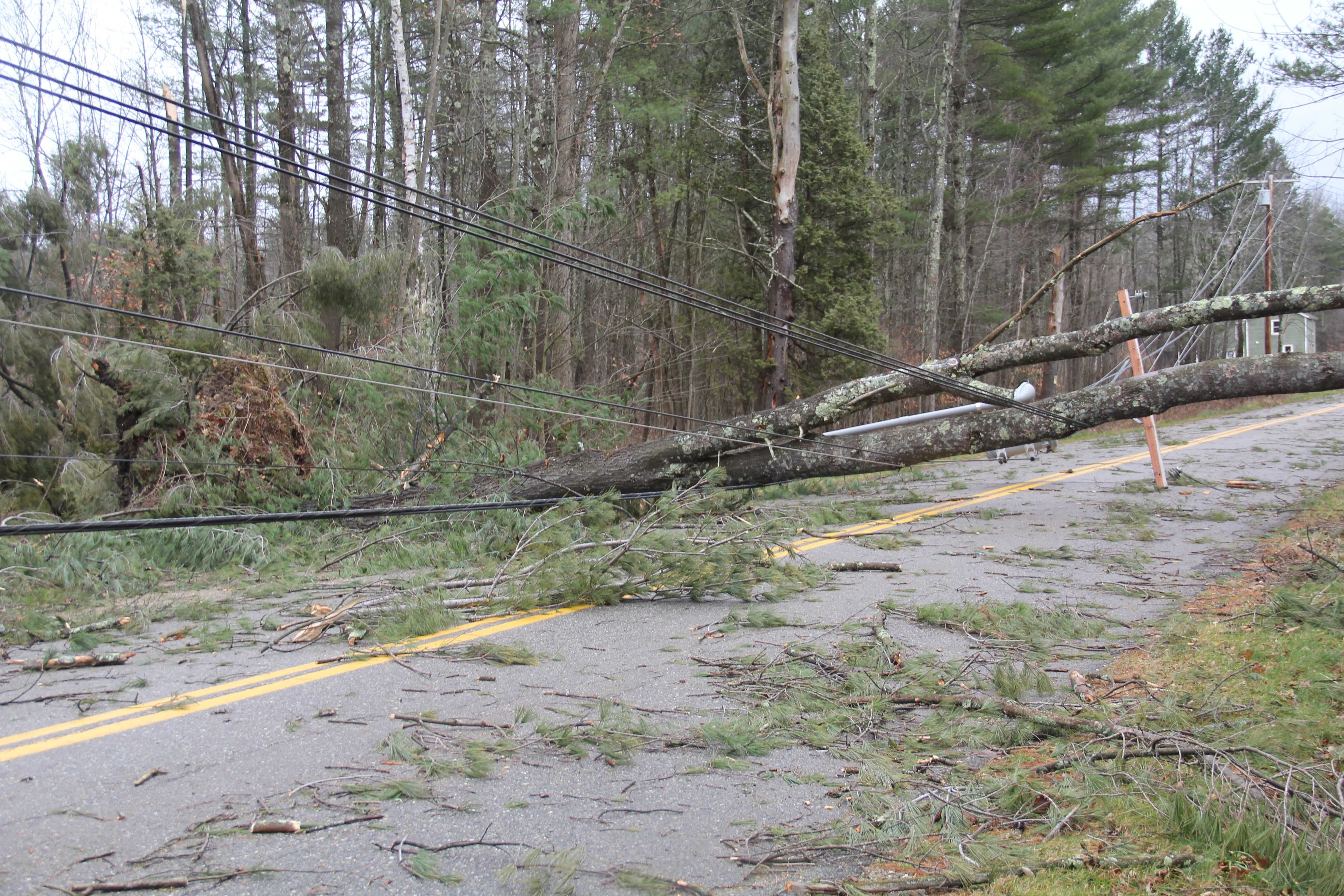 PHOTOS: Storm Leaves Thousands Without Power