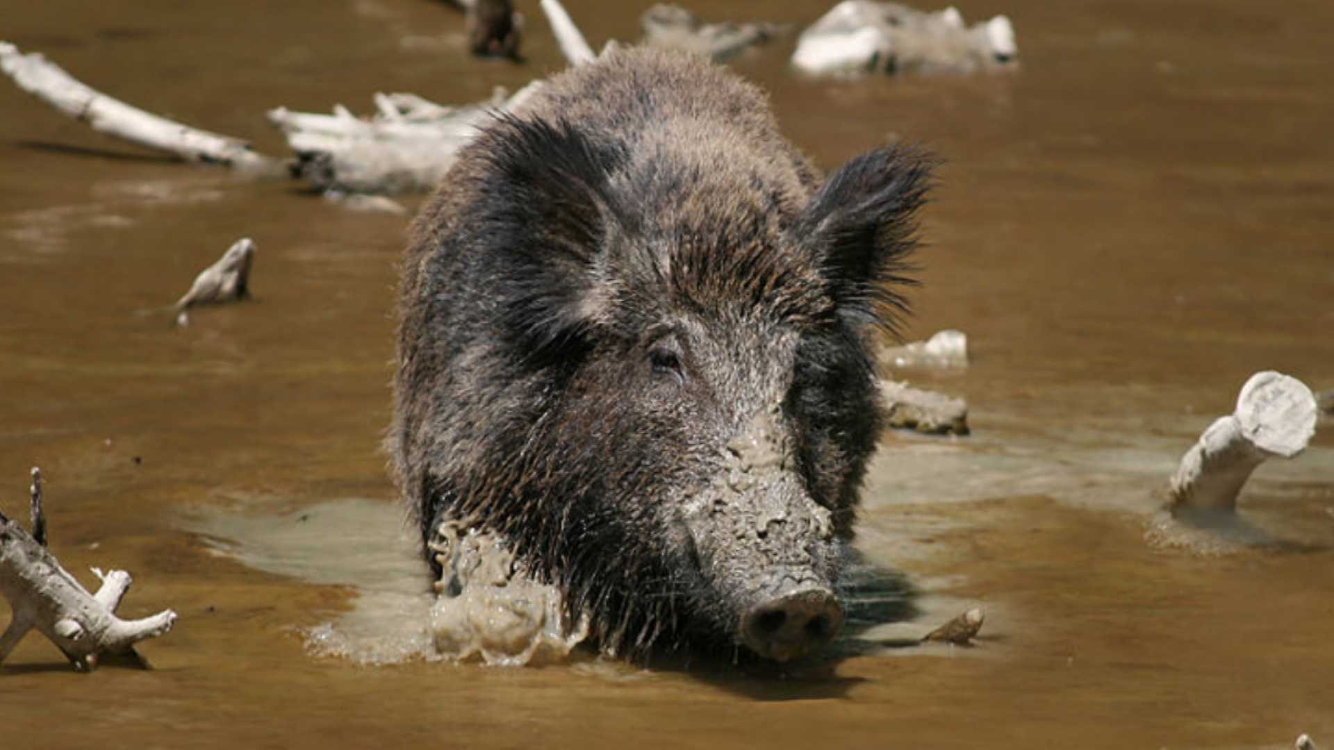 19654706-19654706.jpg?crop=1xw