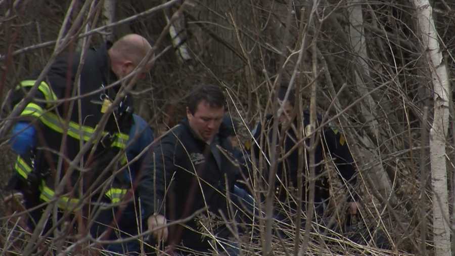 Police are on the scene in a wooded section of East Commerce Way in Williston, where a body was found. 