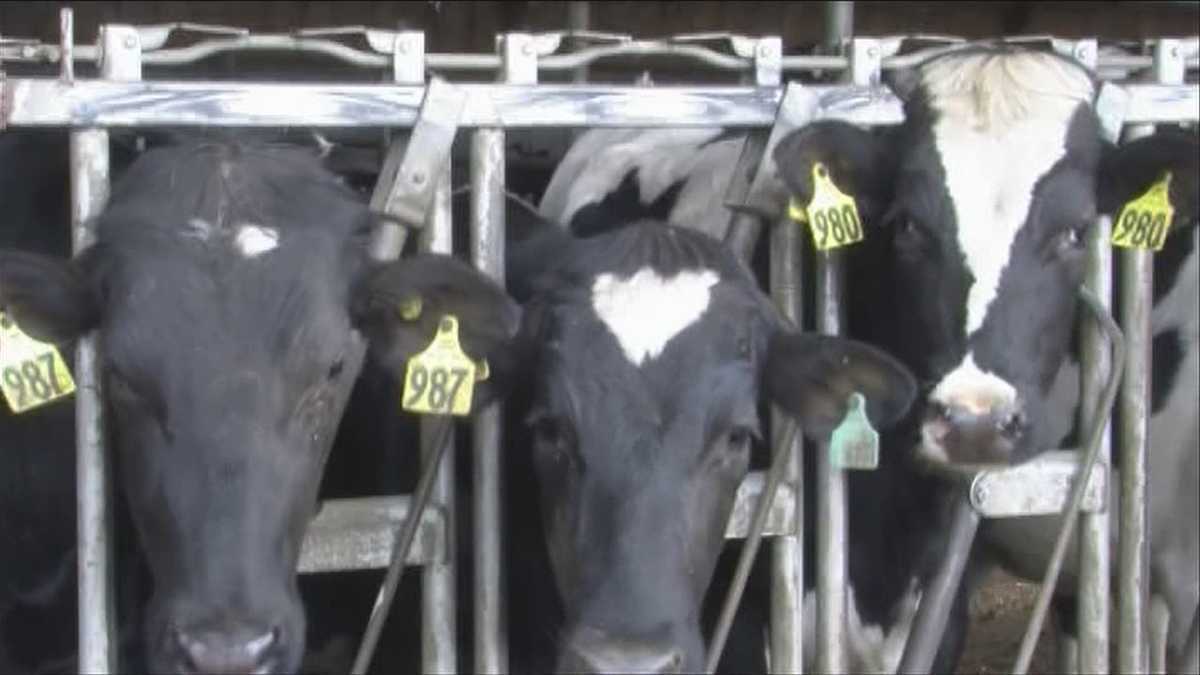 VT Technical new energy source