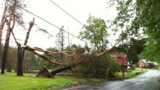 Trees and lines down in St. Johnsbury.