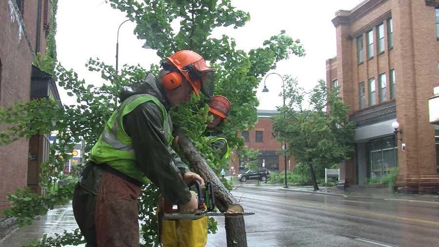 Vandals who recently hacked up four trees on South Winooski Avenue in Burlington could be costing taxpayers $6,000 to replace the greenery, but it's not just residents' wallets that are hurting. 