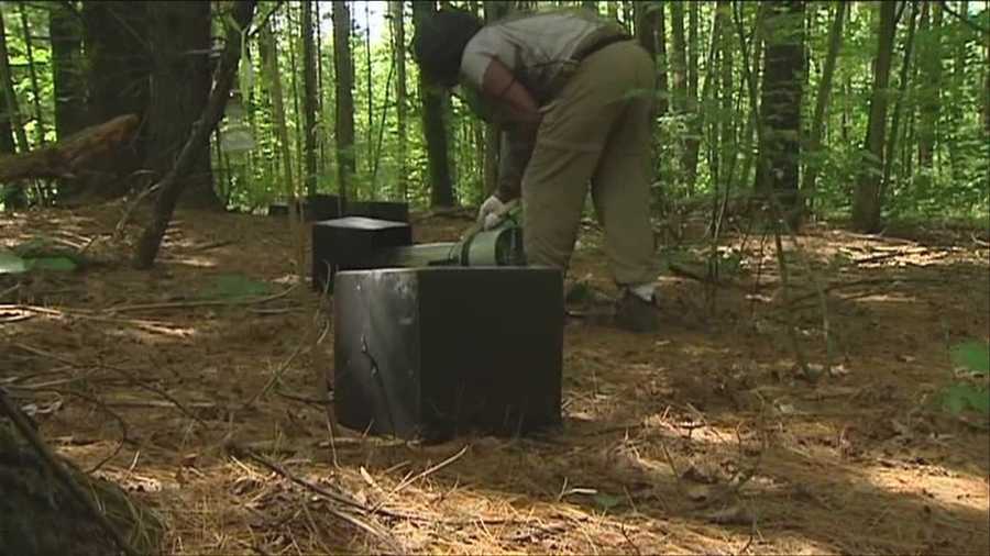 It's been nearly a week since Vermont Health officials discovered West Nile Virus in a mosquito pool from Addison County. The hunt to trap and test mosquitoes throughout the state continues now, with even greater urgency.
