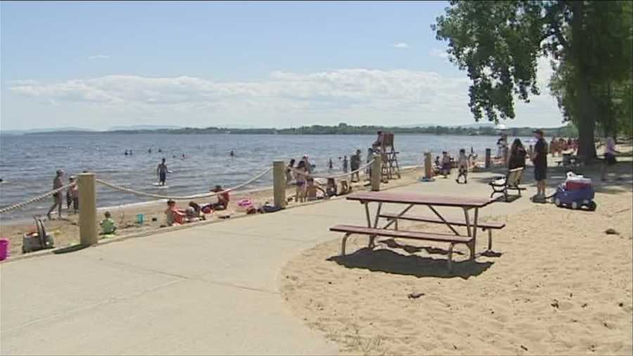 Dogs allowed on city beach for good  cause