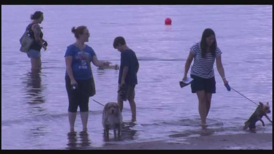 For one night only, dogs allowed on Plattsburgh City Beach