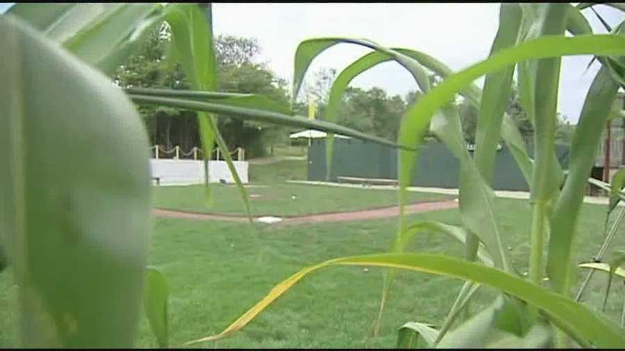 The 13th annual Travis Roy Foundation, debuts new field of dreams.