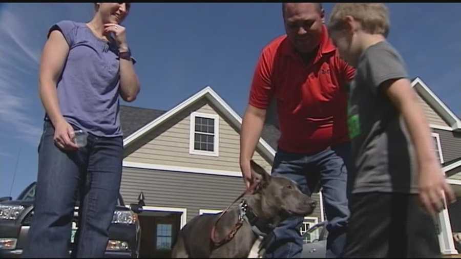 A boy who has autism has a special connection with his dog. The pet was one of dozens of dogs rescued from a house in Eden. The dog is very sick and the family needs help funding his care.