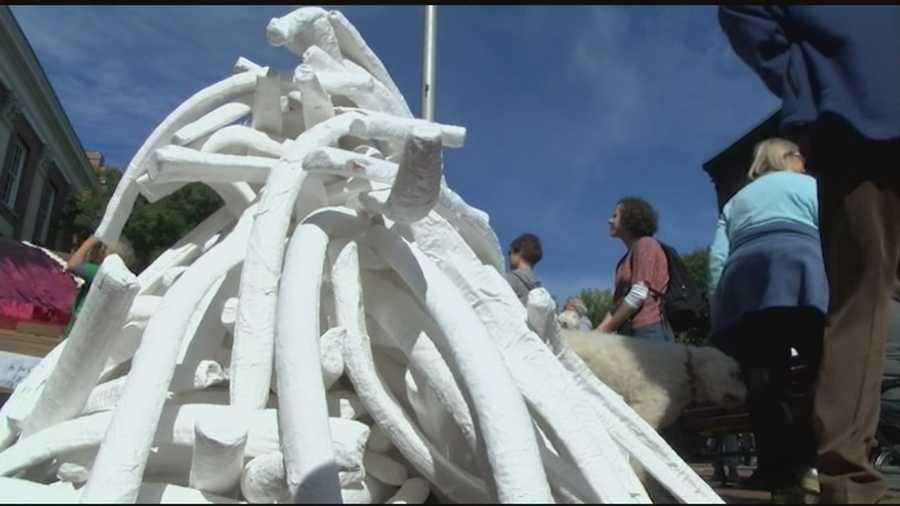 Activists say the US is 2nd to China in ivory demand