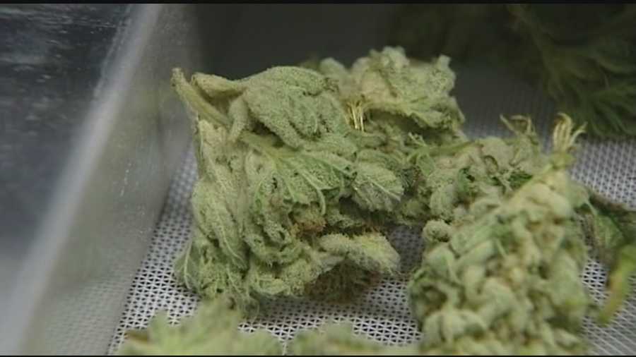 A Senate panel opened hearings Tuesday in Montpelier on a framework to legalize marijuana for recreational use.