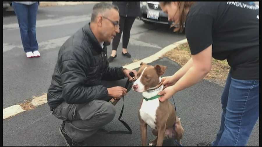A dog and his owner were reunited on December 18 after being separated for just about two years.    