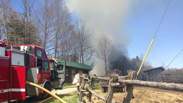 Championship Horse Among 8 Animals Killed In Georgia Barn Fire