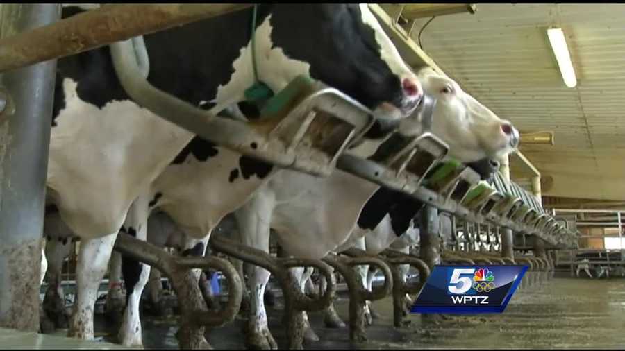 Dairy farmers in Vermont and around the country are feeling the pain of a slump in milk prices.