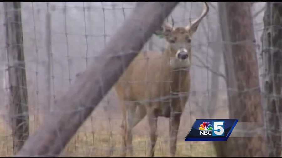 New York's hunting season is around the corner
