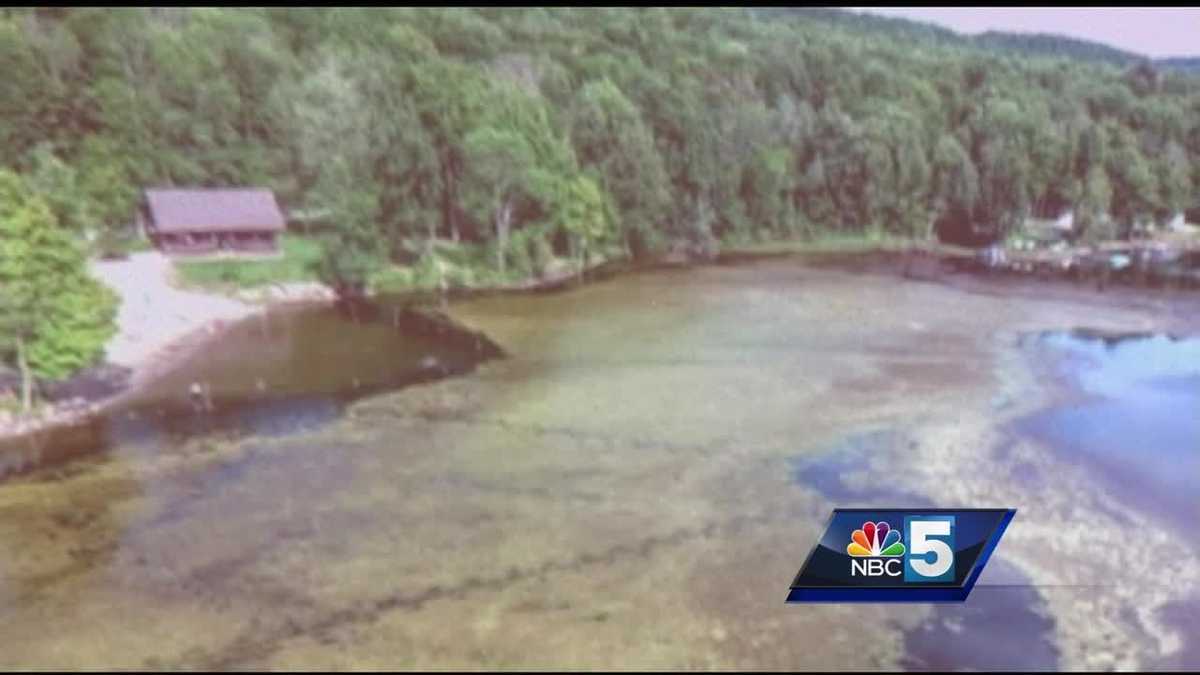 Fighting invasive species in Lake Iroquois