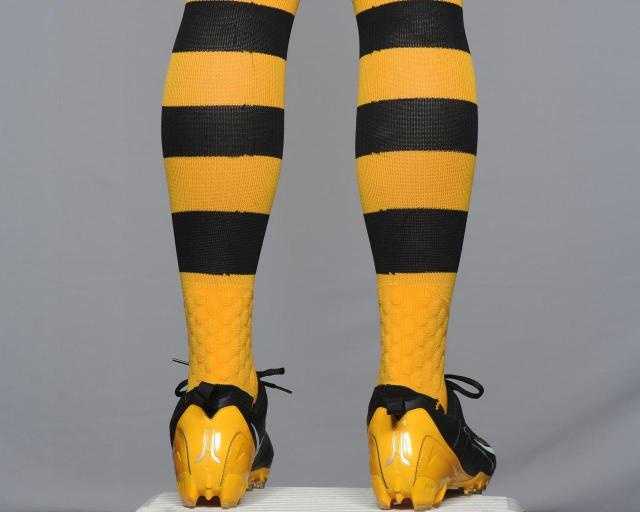 steelers bumblebee socks