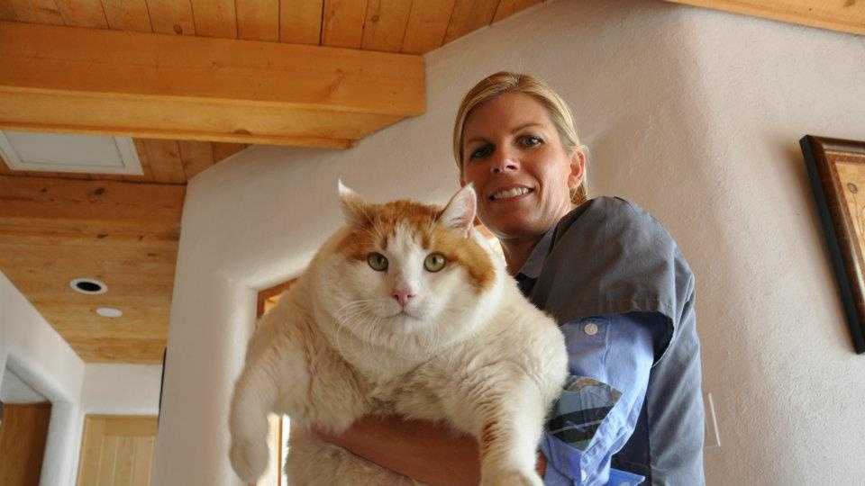 morbidly obese cat