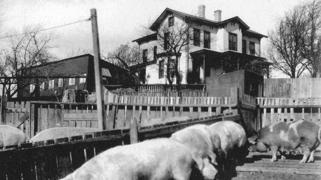 In Photos Squirrel Hill Then & Now