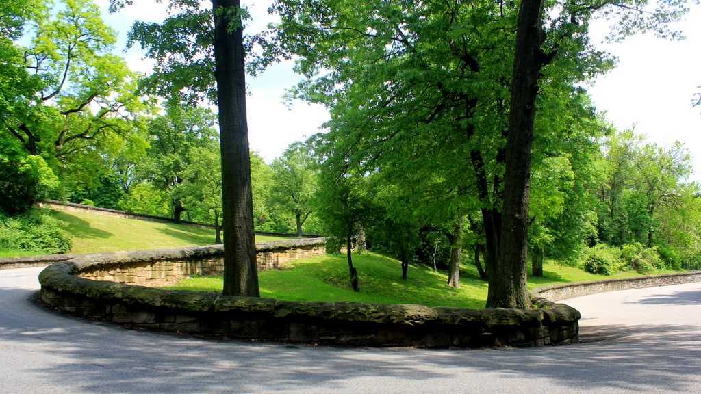 In Photos Squirrel Hill Then & Now