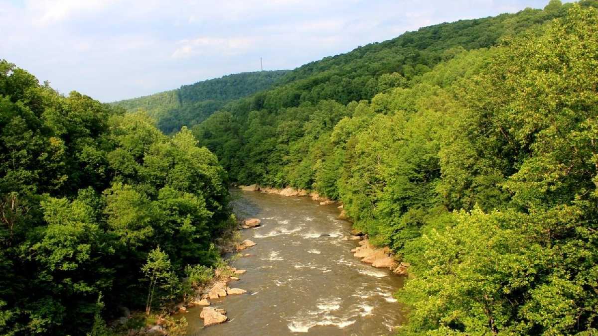 In Images: Ohiopyle State Park