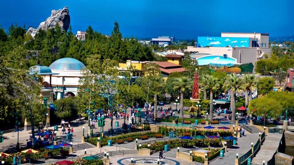 Ticket Prices At Amusement Parks Near And Far