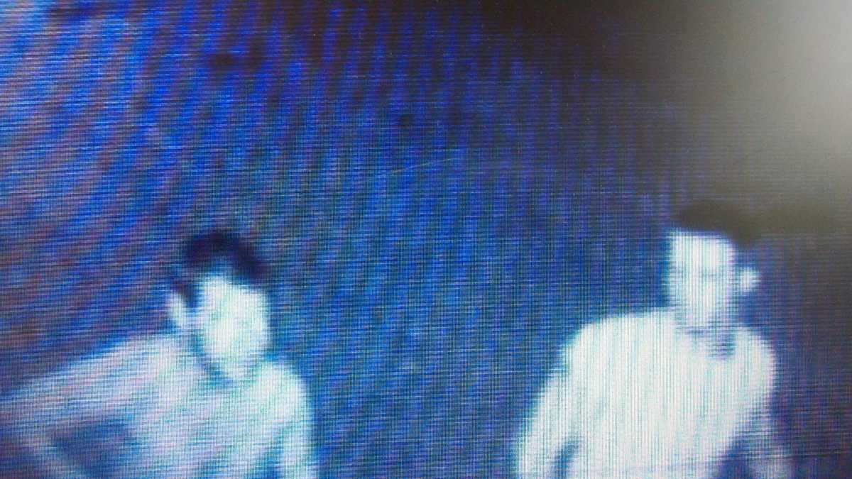 Police ask for help identifying burglary suspects