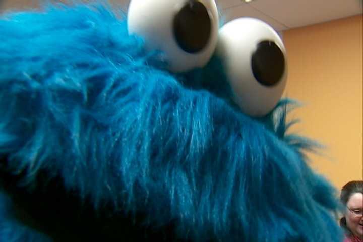 Cookie Monster Replica