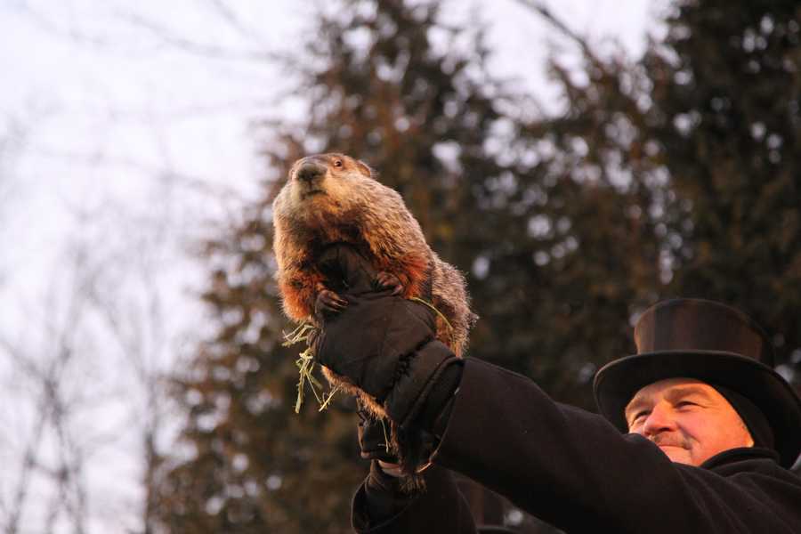 where is the groundhog day festival