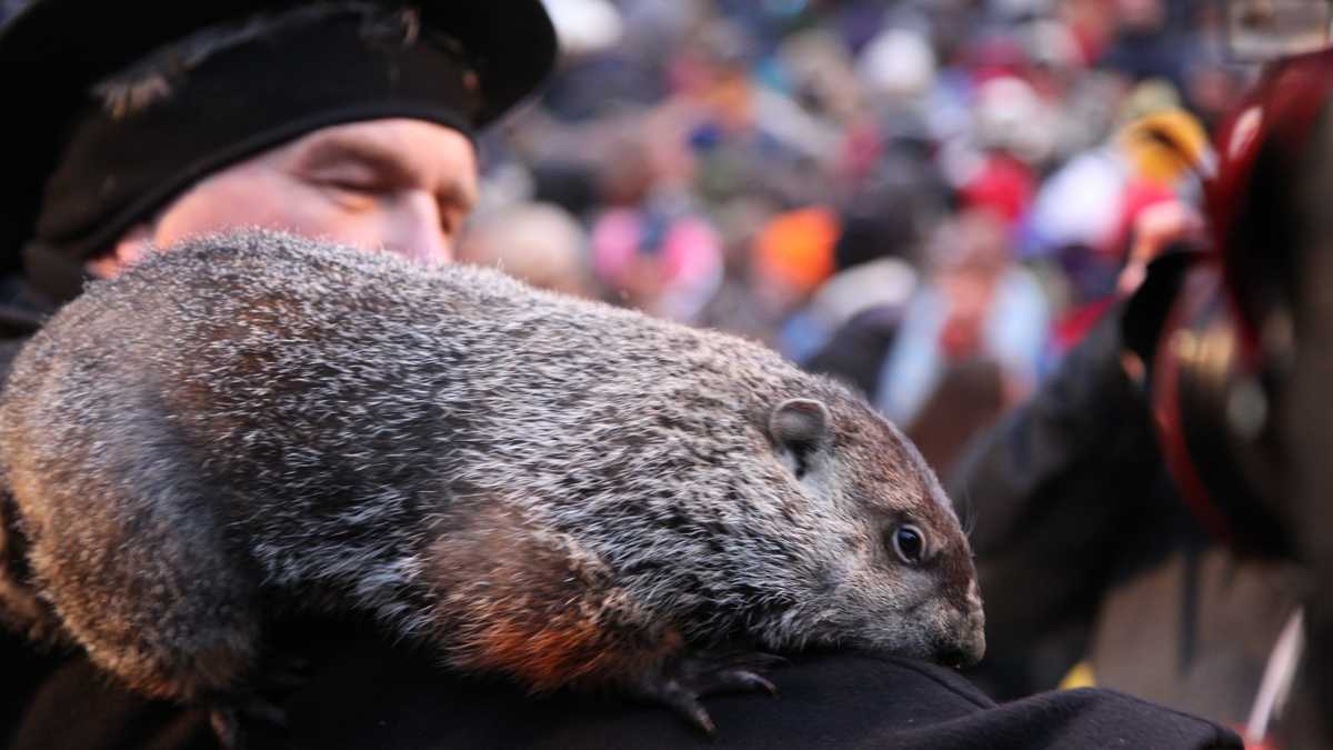 where is the groundhog day festival