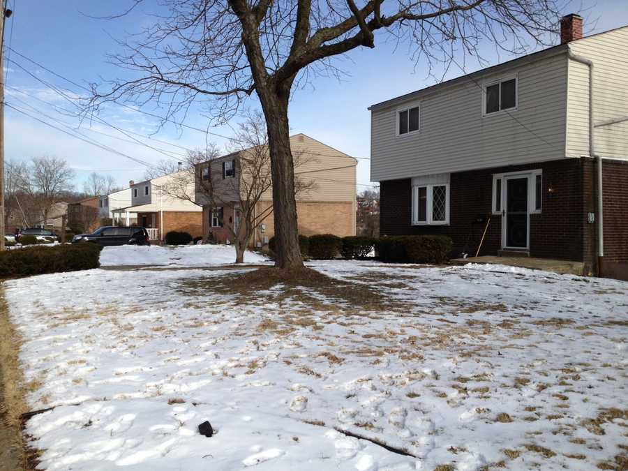 Baldwin police officer accidentally shot