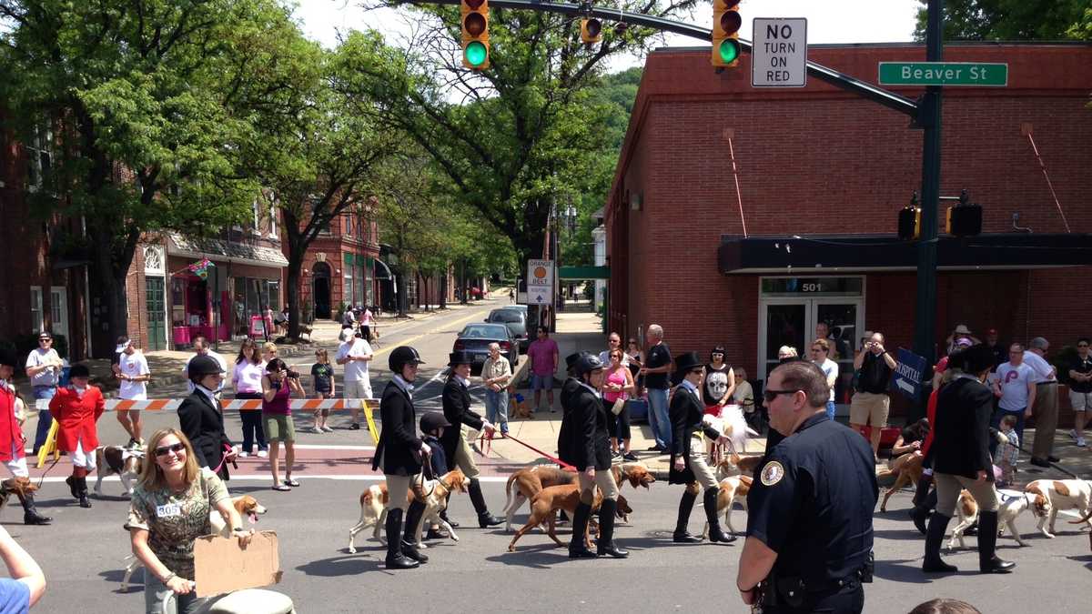 Photos Pets don creative costumes for annual Sewickley Unleashed parade