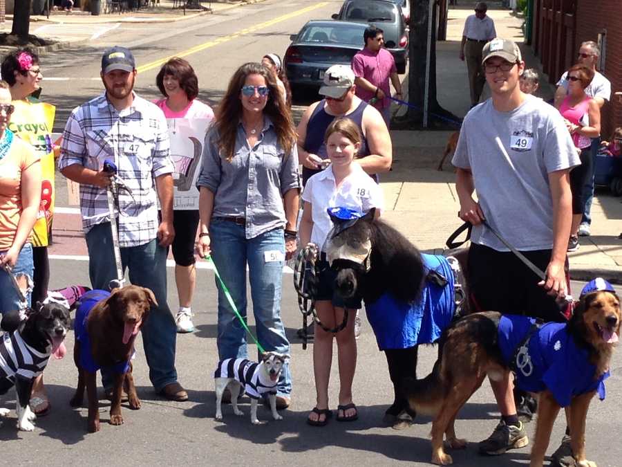 Photos Pets don creative costumes for annual Sewickley Unleashed parade
