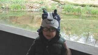 A picture of 2-year-old Maddox Derkosh taken at the Pittsburgh Zoo & PPG Aquarium on Nov. 4, 2012. 