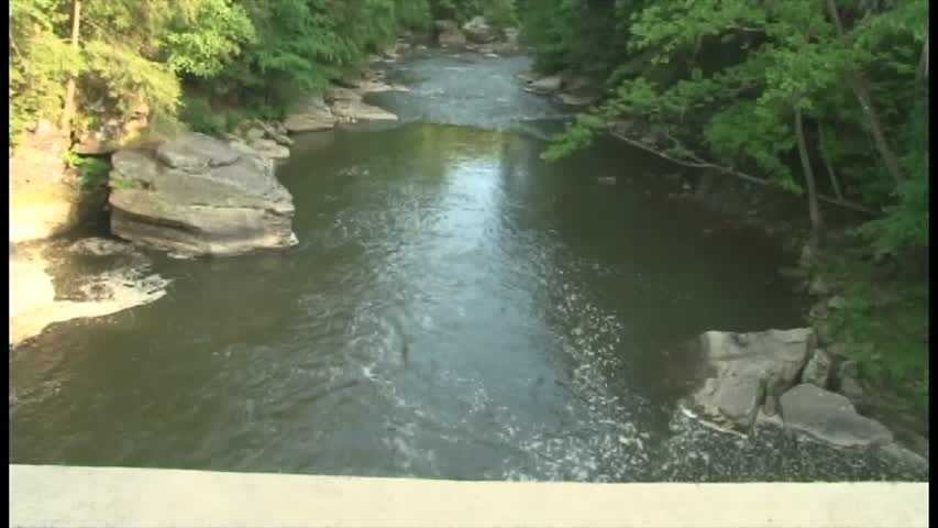 Man Drowns After Dropping From Rope Swing Into Slippery Rock