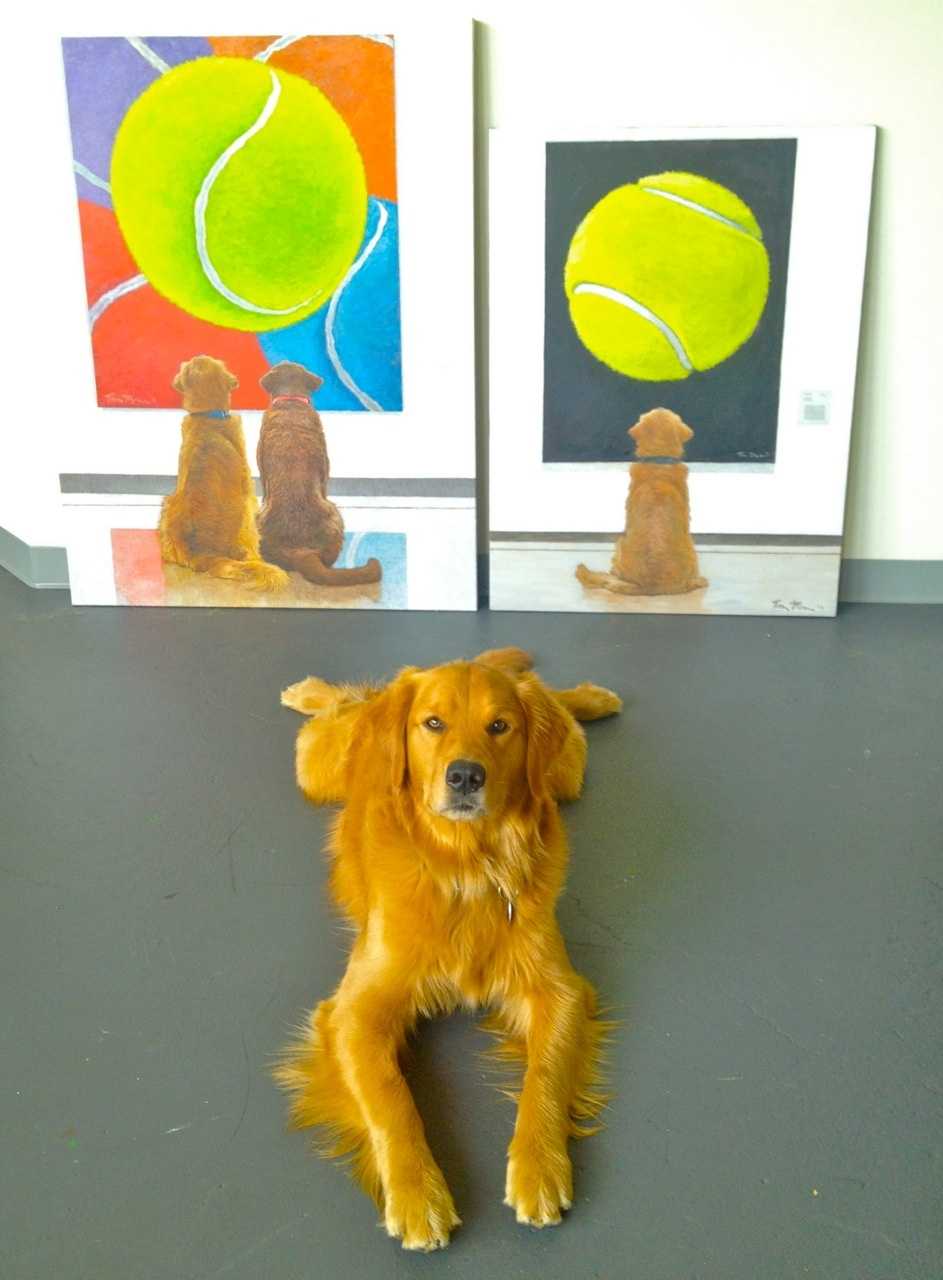 dog looking at tennis ball painting