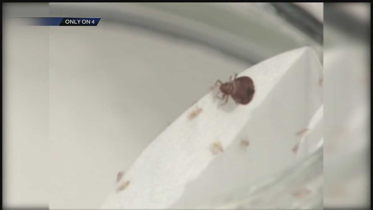 Bed bugs found at Pittsburgh elementary school