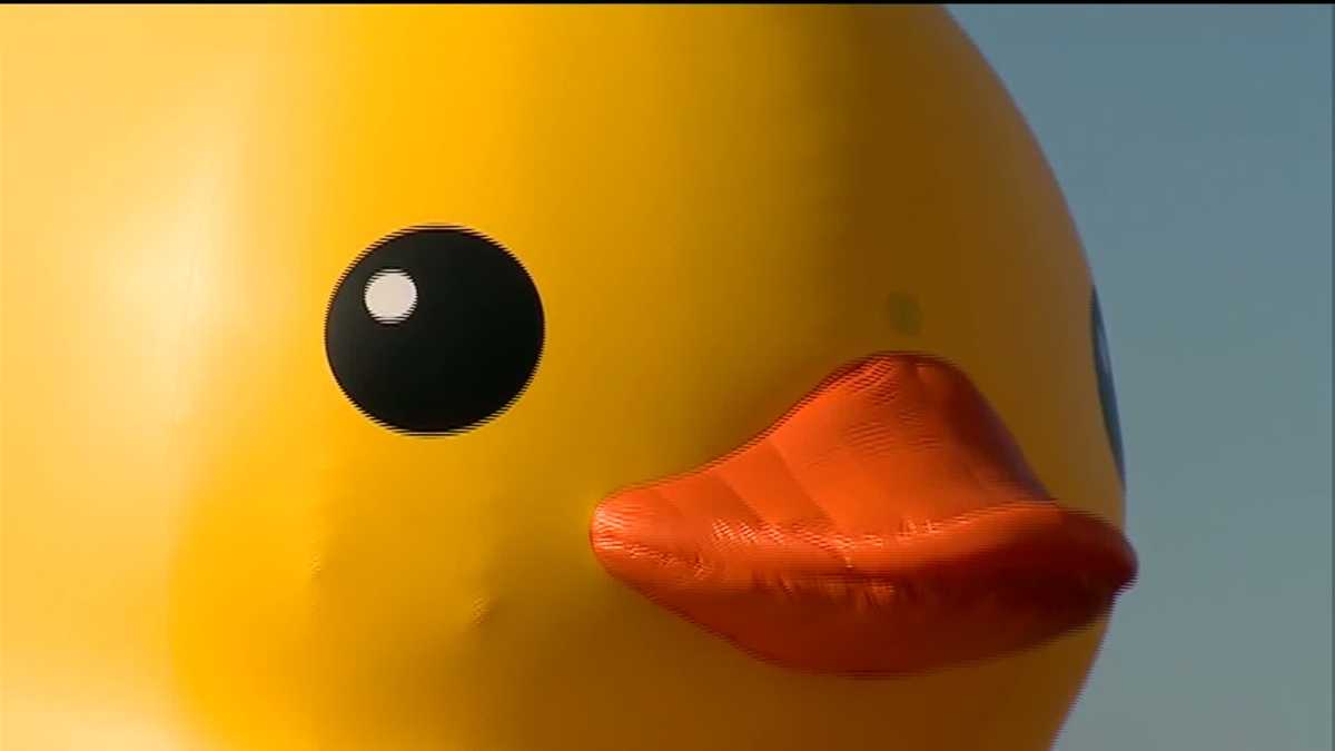 big rubber duck float