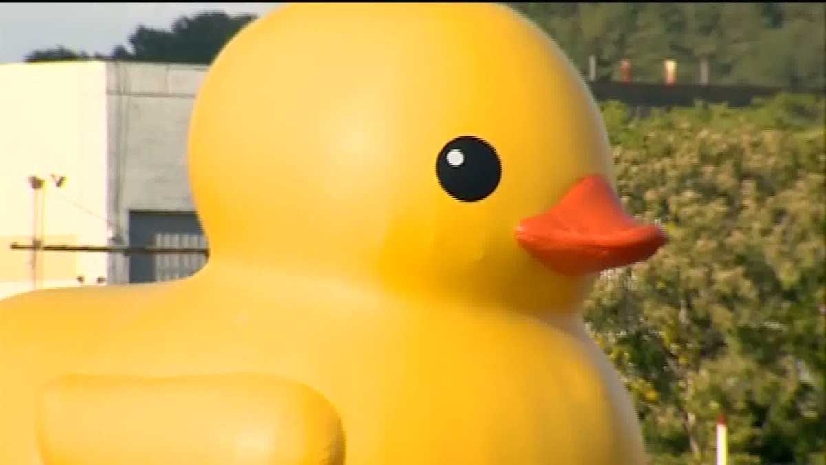 rubber duck floaty