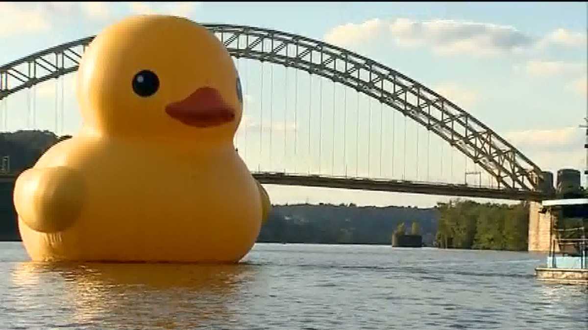 giant duck float