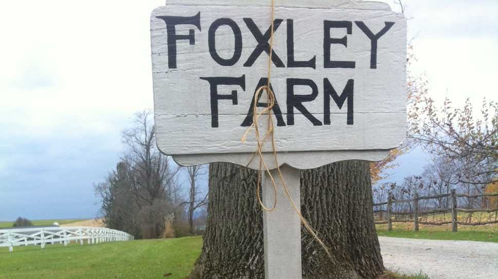 Photos Foxley Farm targeted by vandalism