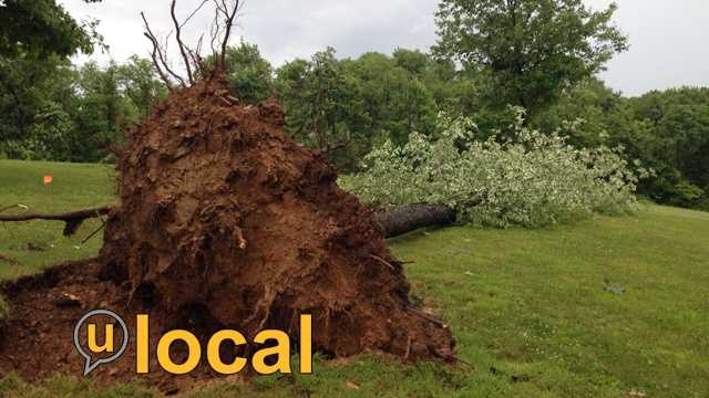 u local Storm photos: High winds knock down trees