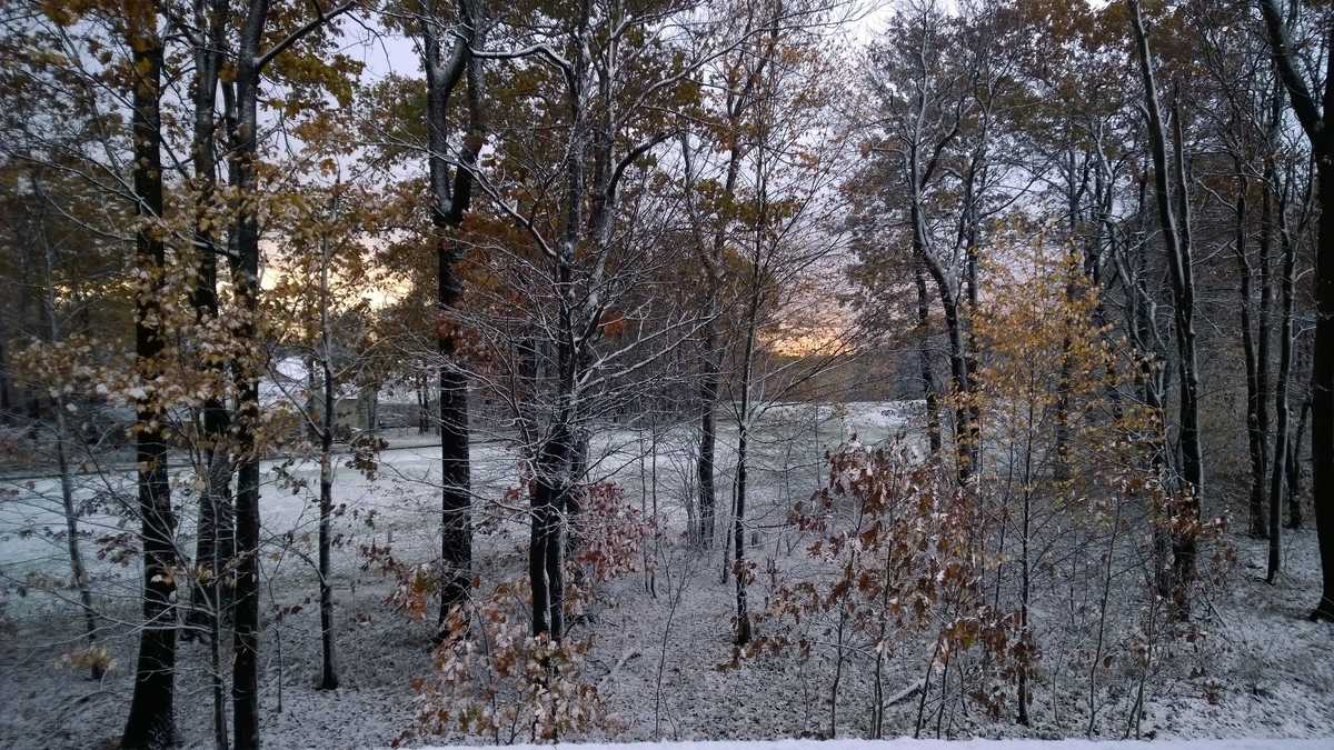 Early Snow in the Laurel Highlands