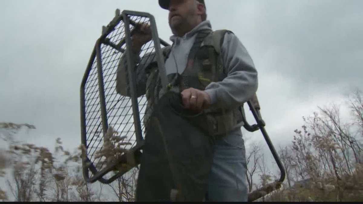 Experts Hunters need to protect themselves when using tree stands