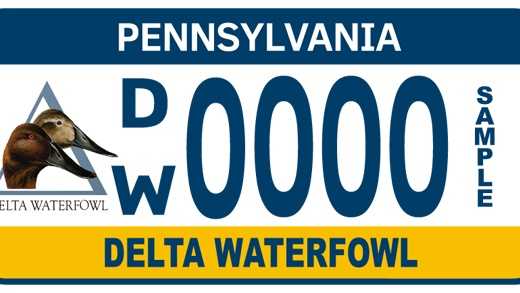 New York DMV  Ducks Unlimited