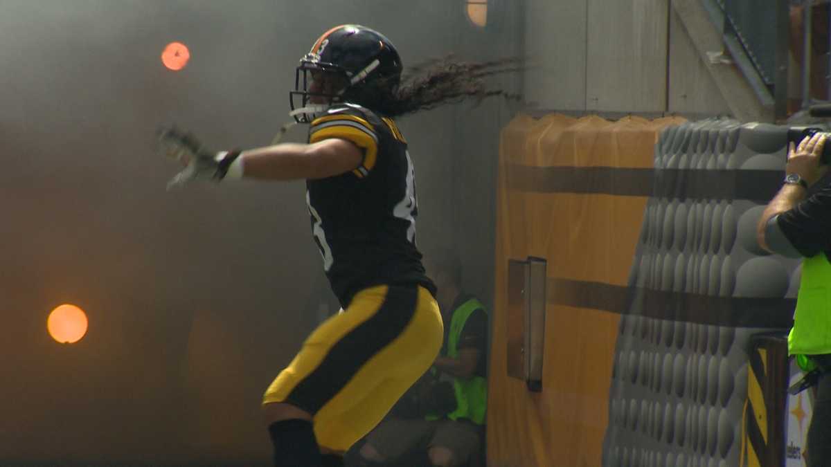 Steelers safety Troy Polamalu retires, Pro