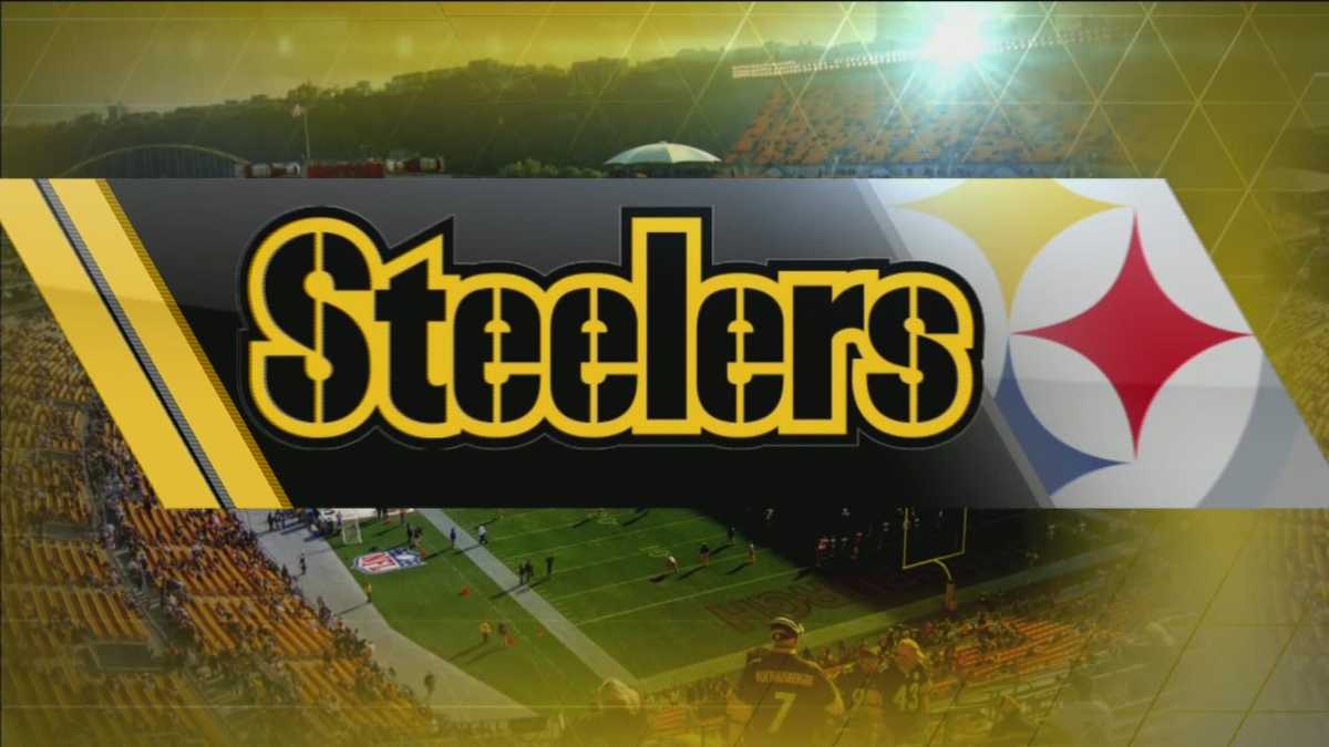 Steelers' Gay rises above criticism